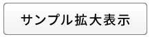 サンプル拡大表示